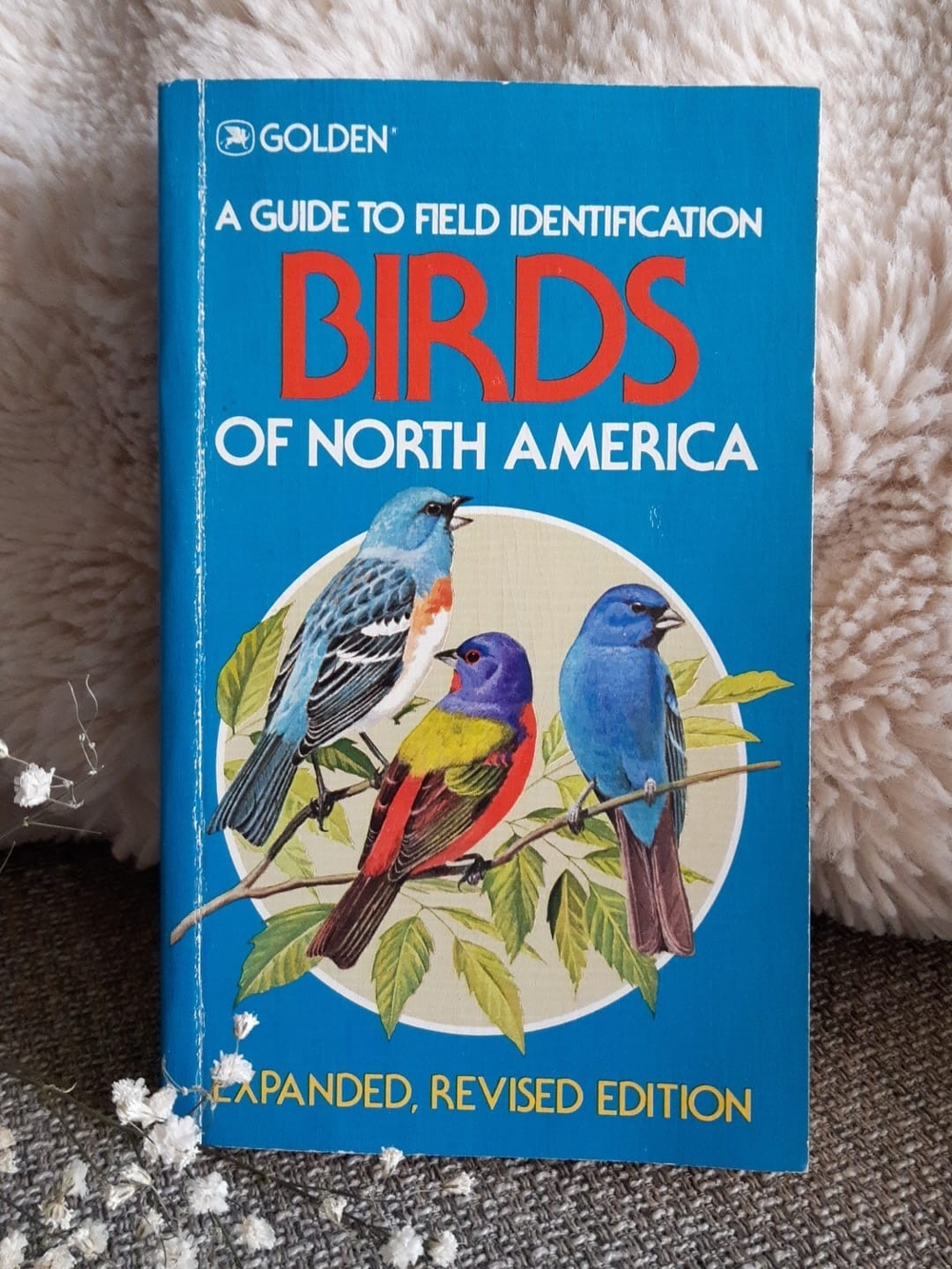 1983 Golden Birds of North America - A Guide to Field Identification